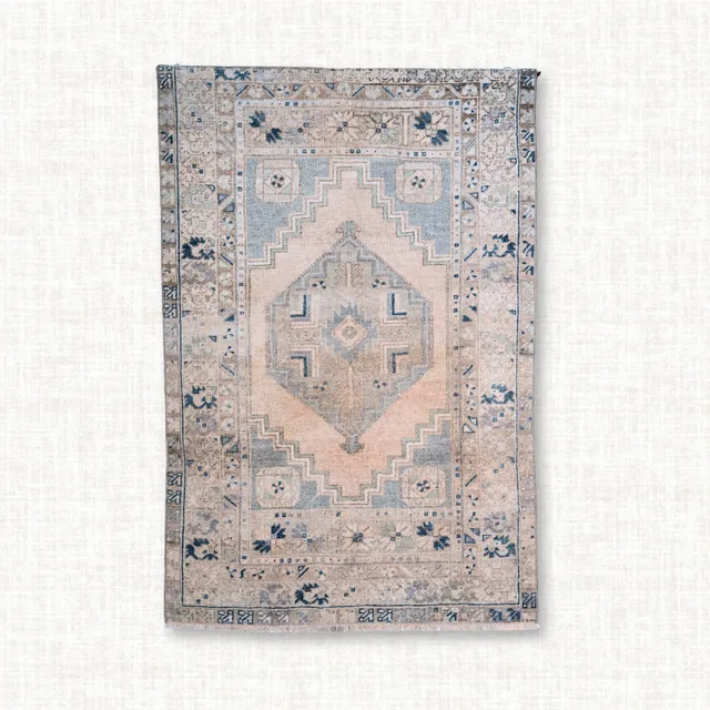 Blush Horizon Medallion Rug