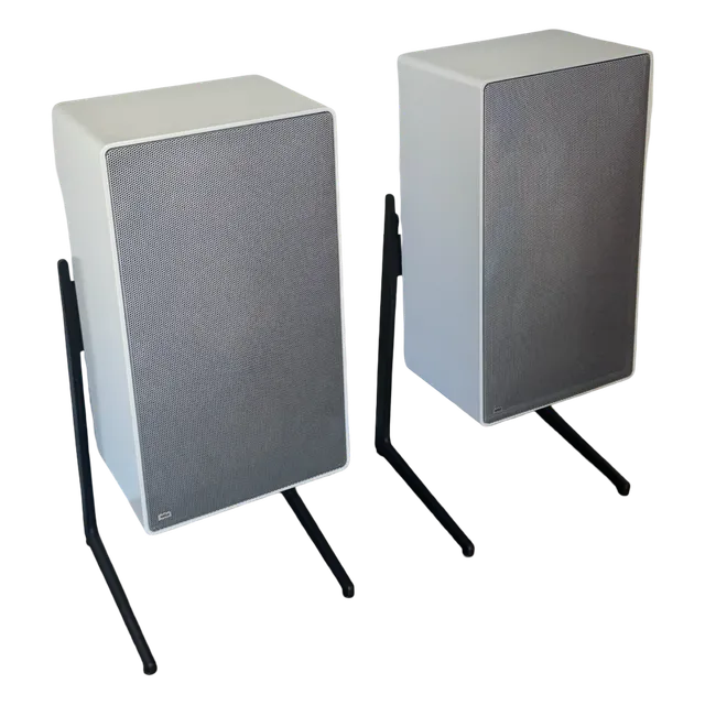 Braun L710 Floor Speakers